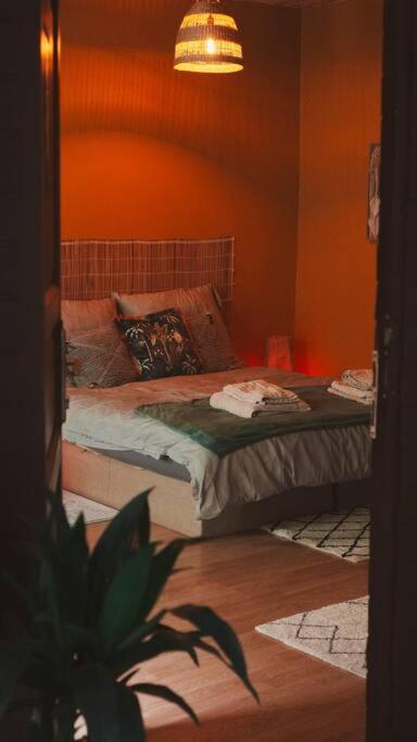Sahara Studio With Shared Bathroom In City Centre ブラチスラヴァ エクステリア 写真