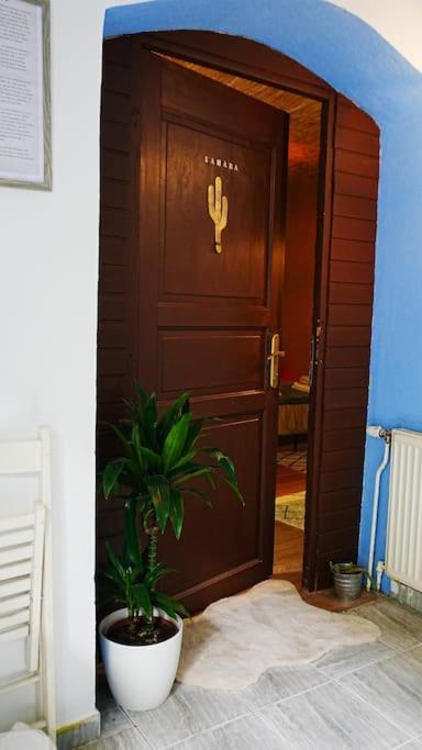 Sahara Studio With Shared Bathroom In City Centre ブラチスラヴァ エクステリア 写真