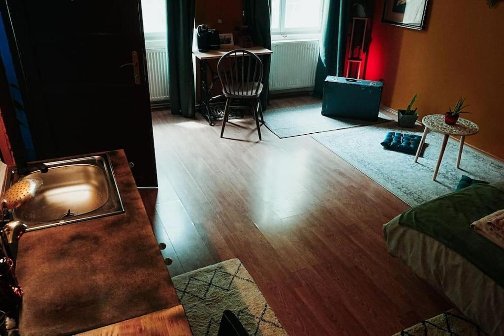 Sahara Studio With Shared Bathroom In City Centre ブラチスラヴァ エクステリア 写真